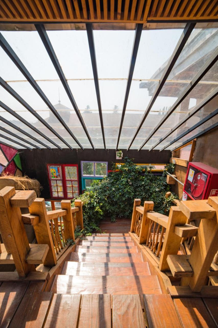 Rio Libre Party Hostel